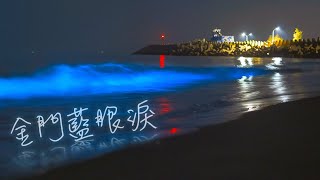 金門藍眼淚特輯2022💧Kinmen blue tears