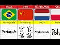 major language from different countries informative data creation