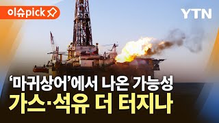 [이슈픽] 최대 51억 배럴 추가 매장 가능성…대왕고래 이어 마귀상어? / YTN