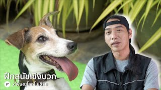 พิษณุโลกโมเดิร์น EP.6 ฝึกสุนัขเชิงบวก