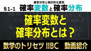 確率変数と確率分布【数学ⅡBC・確率分布と統計的な推測】高校数学のトリセツ