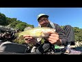 in search of the big black bass of lake biwa fishing in japan