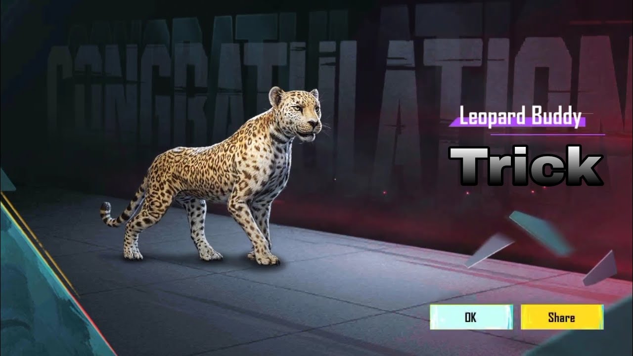 Bgmi Arctic Hola Buddy Crate Opening Bgmi New Companion Bgmi