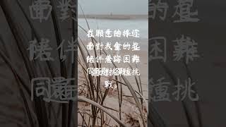 每日一句愛情語錄 浪漫愛情語錄分享 心動的愛情句子 愛的名言 EP 2 #shorts #感情語錄 #浪漫 #自我治癒 #愛情語錄