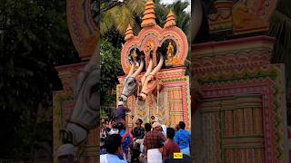 Pooram Vibes #shorts #kerala #festival #latest#palakkad  #pooram