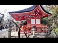 the plum blossoms of kitano tenmangu and the shrine that healed unwalking legs