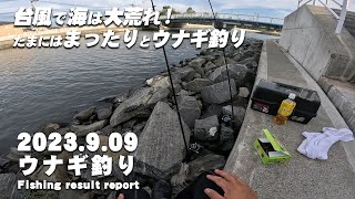 台風で海は大荒れ！たまにはまったりとウナギ釣り！