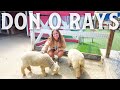 Don O Rays Farm | Things To Do In Kelowna BC