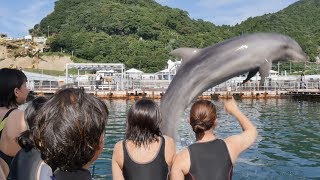 福岡ECOの海洋ワールドをご紹介♪