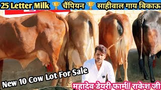 25 Letter Milk 🏆 चैंपियन 🏆 साहीवाल गाय 👌 Top Class 10 original Breed Sahiwal Gir Cross Cow For Sale