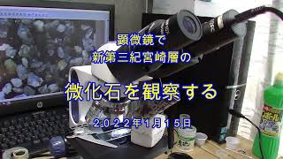 【バーチャル化石採集☆顕微鏡観察】2022-1- 15　宮崎層の微化石スライドショー（3）