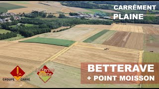 CARREMENT PLAINE : POINT MOISSON + BETTERAVES : 24/07/2023