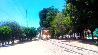 Intermodal con 112 vagones, IMIMX llegando a Patio Guadalajara linea T