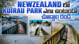 న్యూజిలాండ్ యొక్క భూగర్భ అద్భుతాలు | Natural Hot Springs and Mud Pools| Vlog | Newzealand