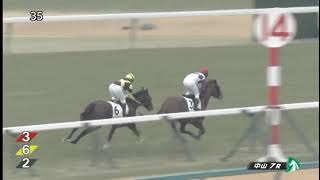 20250106 競馬ﾚｰｽﾄﾋﾟｯｸ　05【人気薄ﾂﾑﾂﾑⅡ連勝!!】'25中1-2-7R T2000 3 5下 ゴーソーファー