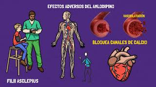 AMLODIPINO | EFECTOS ADVERSOS