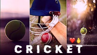 Cricket status 🏏 || Cricket Lover Status ❤ Cricket Whatsapp Status 🏏 || Status World 007 || #cricket