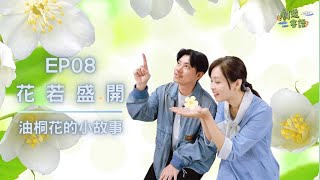 花若盛開 x 油桐花的小故事｜《劇透客語2》EP08｜《客普拉斯》Podcast