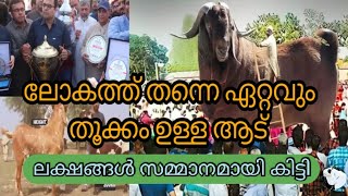 ലോകത്തിലെ ഏറ്റവും വലിയ ആട് #ആട് #beetal #goatfarmingguide