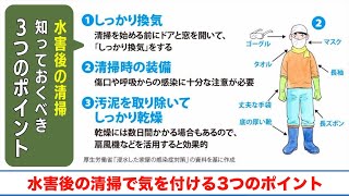 【水害後の清掃で気を付ける3つのポイント】家屋が浸水したら感染症に注意