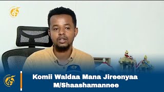 Komii Waldaa Mana Jireenyaa M/Shaashamannee