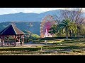 とくしま植物園　紅葉　徳島市