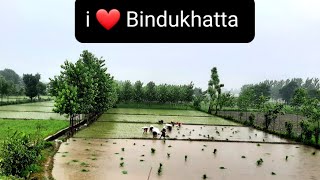 Bindukhatta farming ❤😍 #uttarakhand#bindukhatta#farming #kisan #devbhoomi#nature#viral #shortvideo #