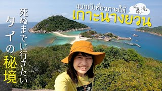 รู้แล้วว่าทำไมคนญี่ปุ่นรักทะเลไทย | แบกเป้เที่ยวภาคใต้ EP3 เกาะนางยวน เกาะเต่า🏝