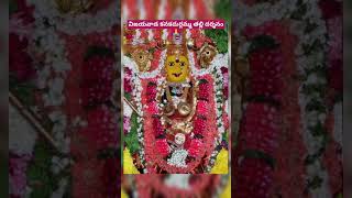 విజయవాడ కనకదుర్గమ్మ తల్లి దర్శనం 🙏#kanakadurgamma #vijayawada #durga #ammavaru #manchimatalu #like