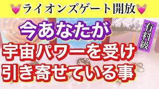 【超朗報🦁】今あなたが宇宙パワーを受け､引き寄せている事!!【ライオンズゲート・パワー受納鑑定✨】タロット【人生・仕事・恋愛・金運・結婚 etc】🔮