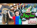 New Bakra Eid Nasheed 2024 | Ayi Re Gai Meri Sahiwal Se | Abu Huraira | Official Video