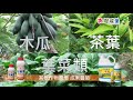 無毒栽培 農皂植物保護劑 土資寶微生物有機質液肥 紅蜘蛛介殼蟲蚜蟲粉蝨跳仔葉蟬浮塵子 皂素 驅蟲 友善作物 有機栽培 農業先驅殺蟲