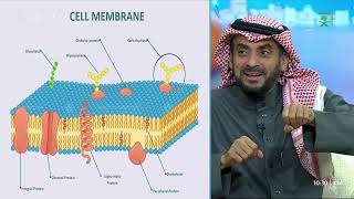 نصائح وإرشادات غذائية يقدمها لنا أستاذ الغذاء والتغذية د.رشود الشقراوي