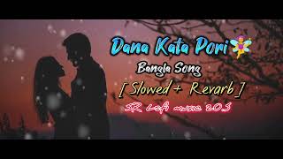 তুইযে আমার খুব আদরের ডানা কাটা পরি Bangla [ Slowed And Revarb ] Song SR Lofi music 20.5