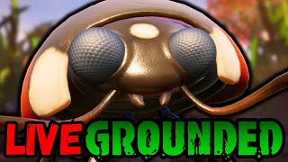 🔴 LIVE: Killing bugs and SURVIVING in GROUNDED! w/ @LittleWelshie