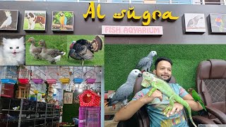 AL Sugra aquarium and Pet Shop Ahmedabad VLOG | Amdavadi Ajju