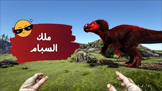 أرك الهاوية #6 | بوسات تير الاورجنال Ark Abyss