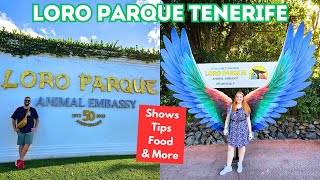 Loro Parque Tenerife Vlog - Is It Worth Visiting?