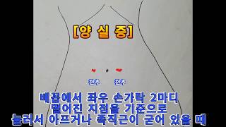 수지침요법 삼일체질 구별법