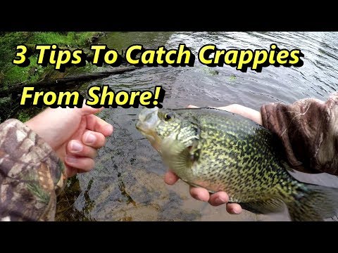 Crappie Fishing Tips - [How To Catch, Clean, And Cook Crappie]