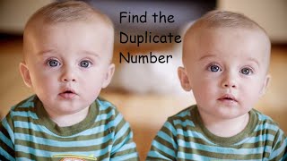 Find the Duplicate Number - LeetCode 287 - Python
