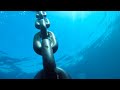 scuba diving the uss mohawk aquatic tours llc