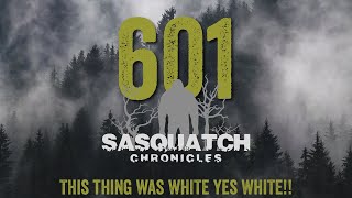 SC EP:601 This thing was WHITE yes WHITE!!