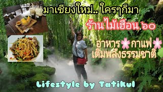 Ep.107 ไม้​เฮือน​ ๖๐​ ถนนสายเชียงใหม่-แม่ริม จ.เชียงใหม่ ร้านอาหาร🍝กาแฟ​☕ เติมพลังธรรมชาติ 🌳🌿🌼