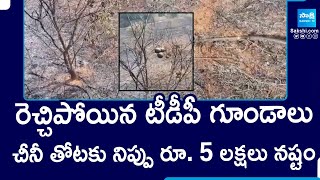 TDP Goons Set Fire to Battai Trees In Anantapur, Worth Of Damage 5 Lakhs | @SakshiTV