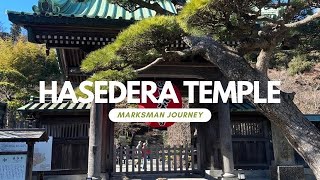 Walking in Kamakura （Hasedera Temple）鎌倉散歩（長谷寺）