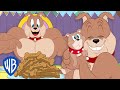 Tom & Jerry | Best of Spike and Tyke | Cartoon Compilation | @wbkids