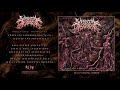 VISCERAL DISGORGE - Strangled And Sodomized (Official Track Stream)