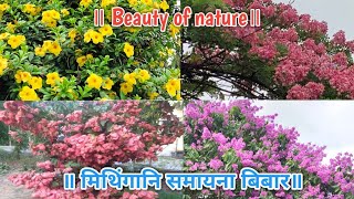 Beauty of nature॥ मिथिंगानि समायना बिबार॥