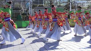 「妃龍」2019ふるさと祭り東京（ステージ形式）